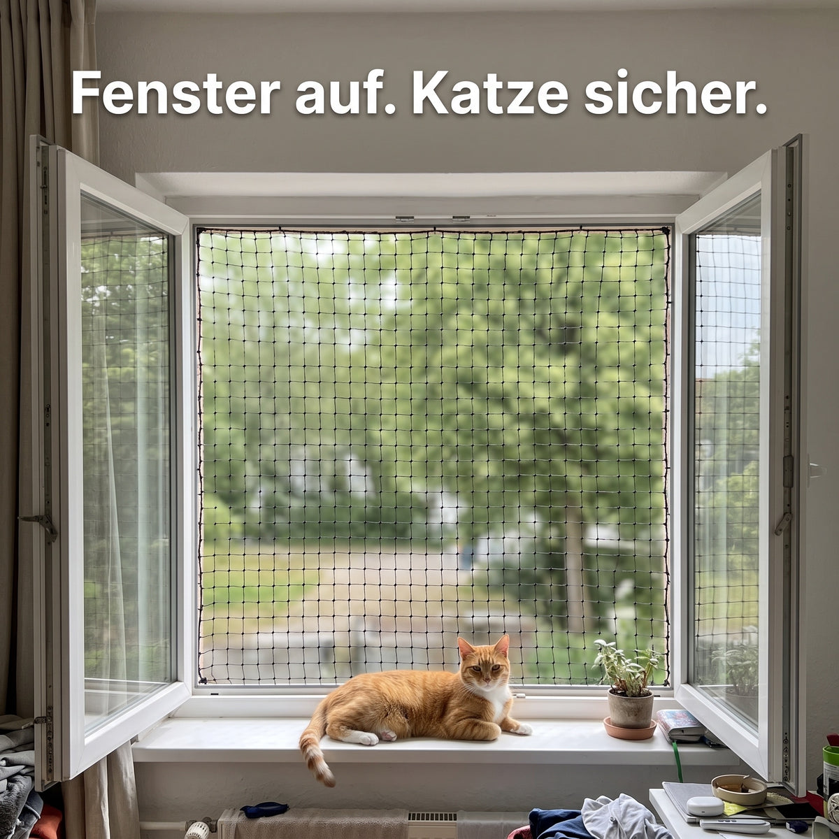 Fenster auf, Netz davor, Katze auf der Fensterbank