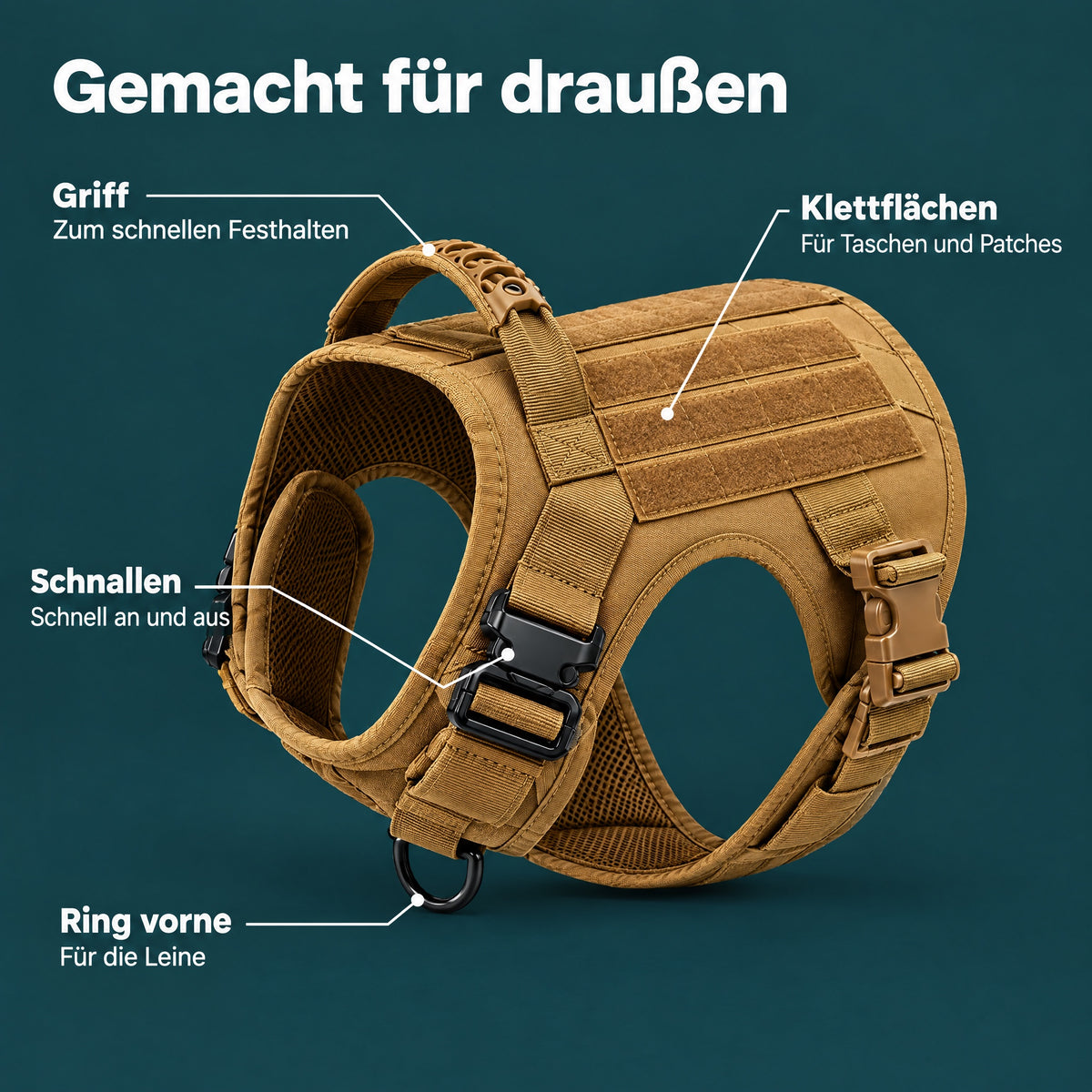Das Geschirr im Detail
