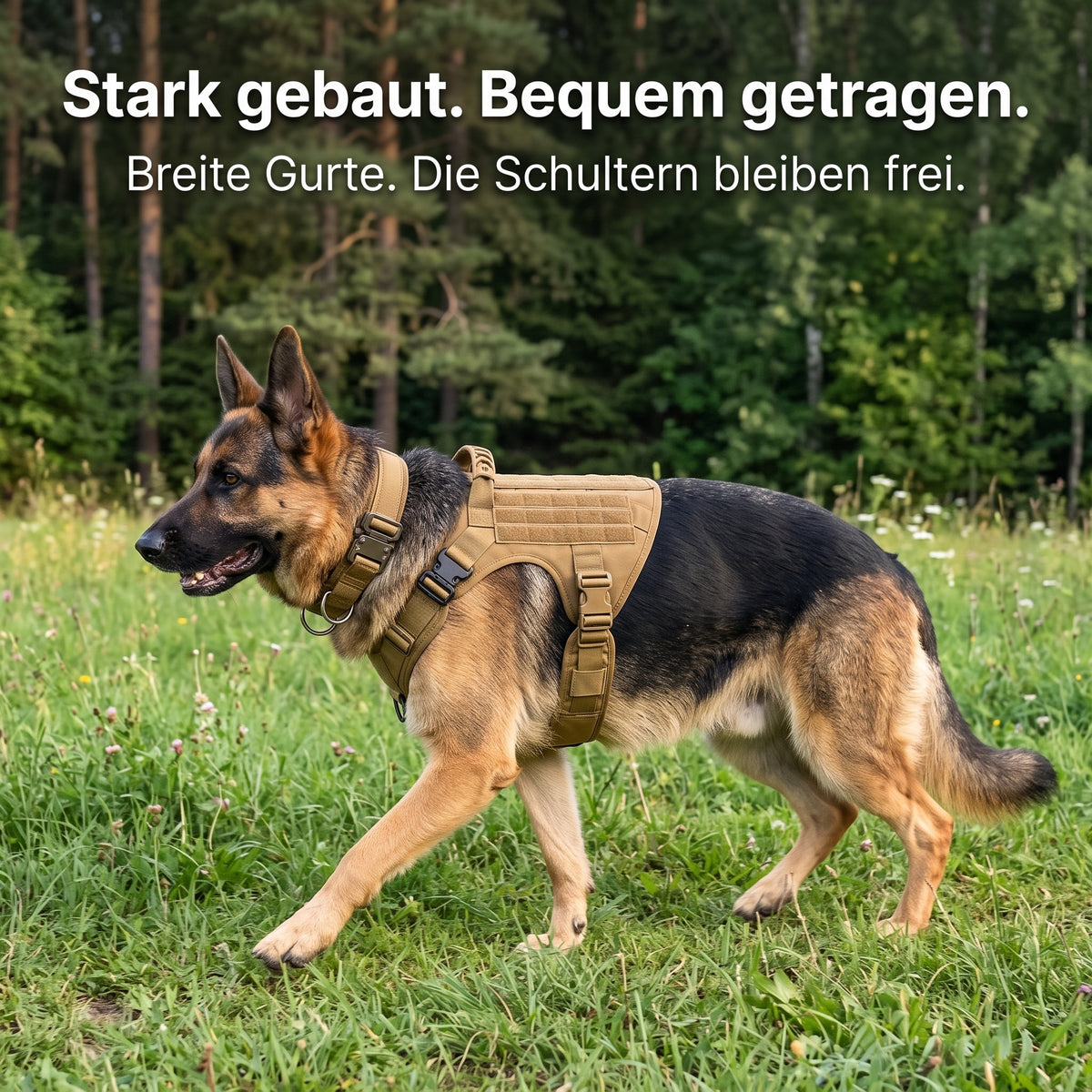 Breite Gurte, die Schultern bleiben frei
