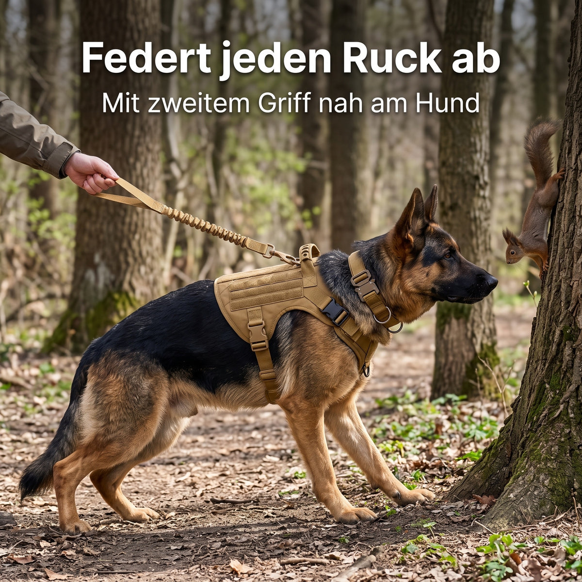 Ruckdämpfer-Leine federt jeden Ruck ab, mit zweitem Griff nah am Hund